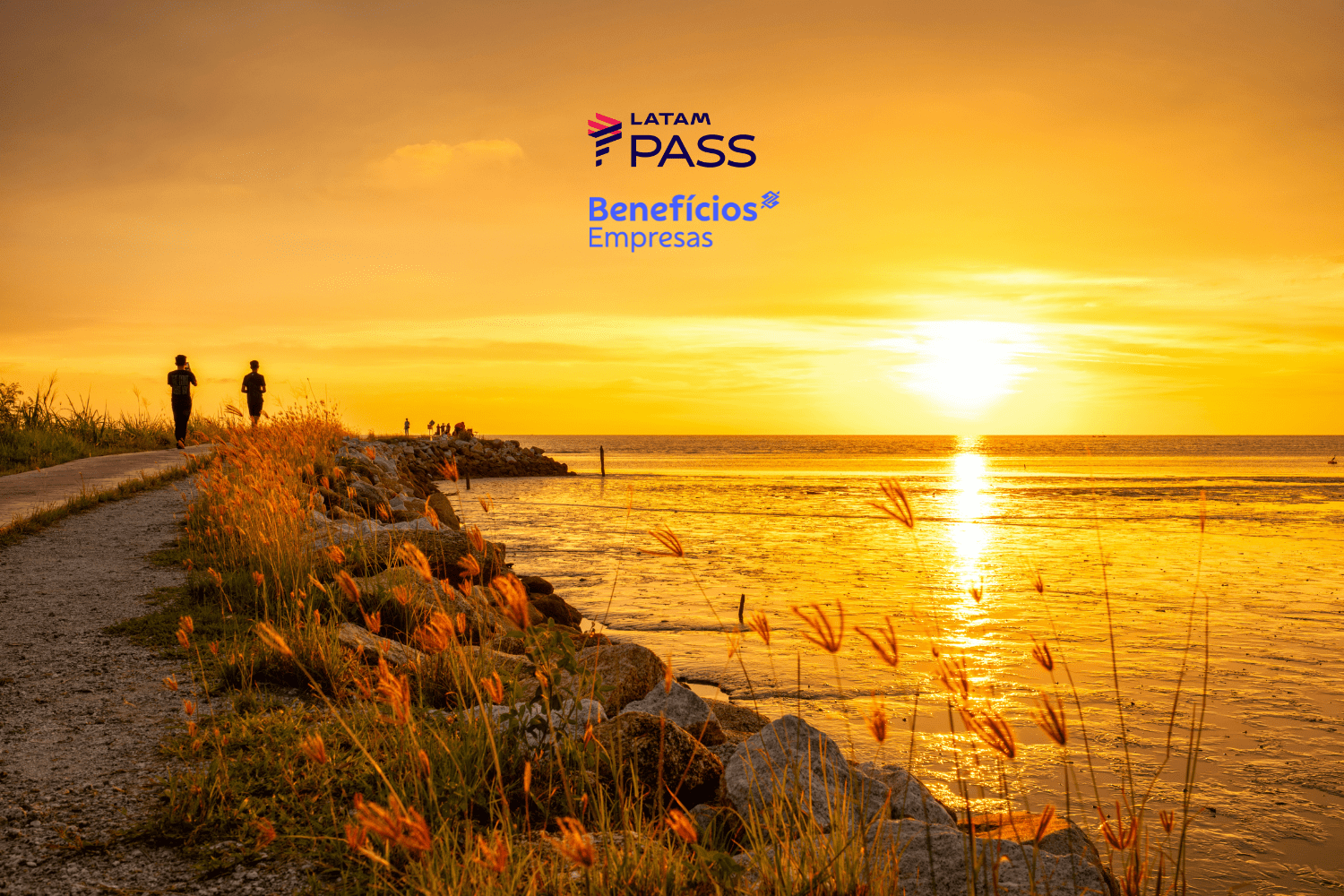 bônus latam pass