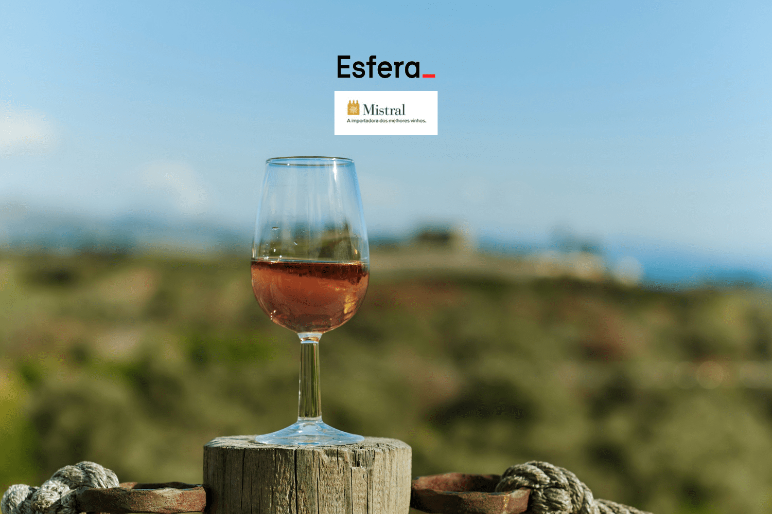14 pontos esfera