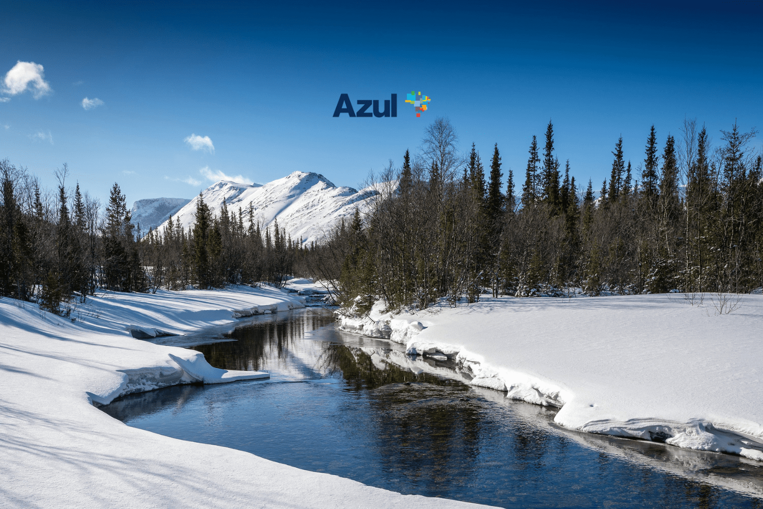 bônus azul