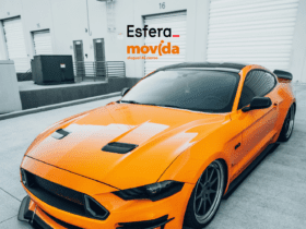 6 pontos esfera