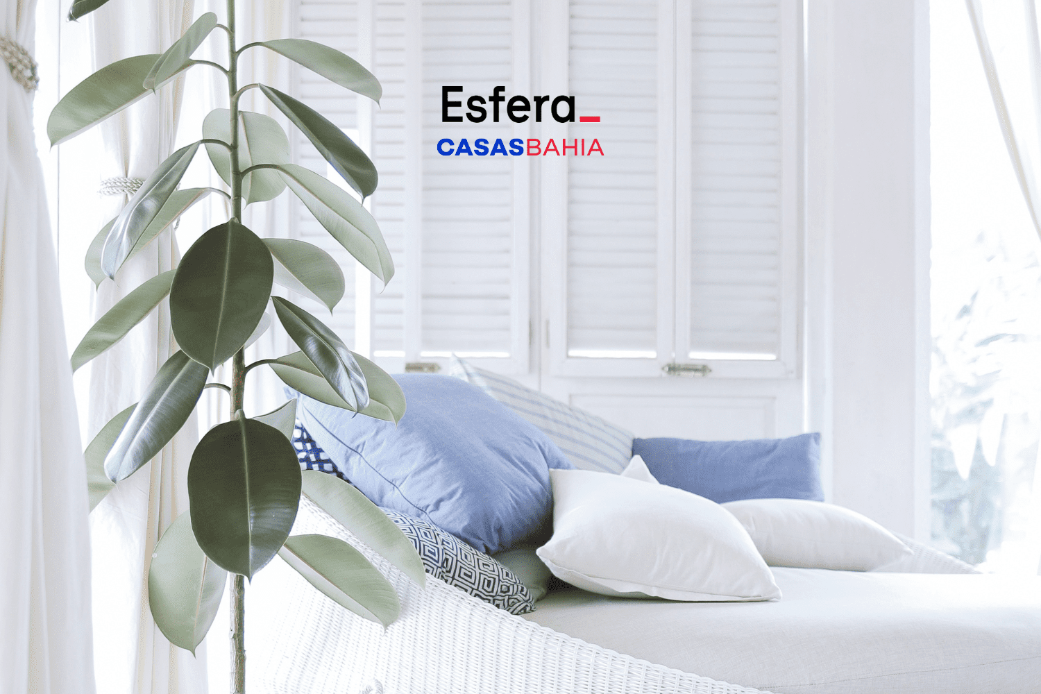 6 pontos esfera