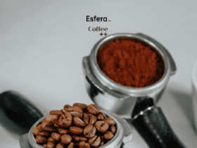 11 pontos esfera